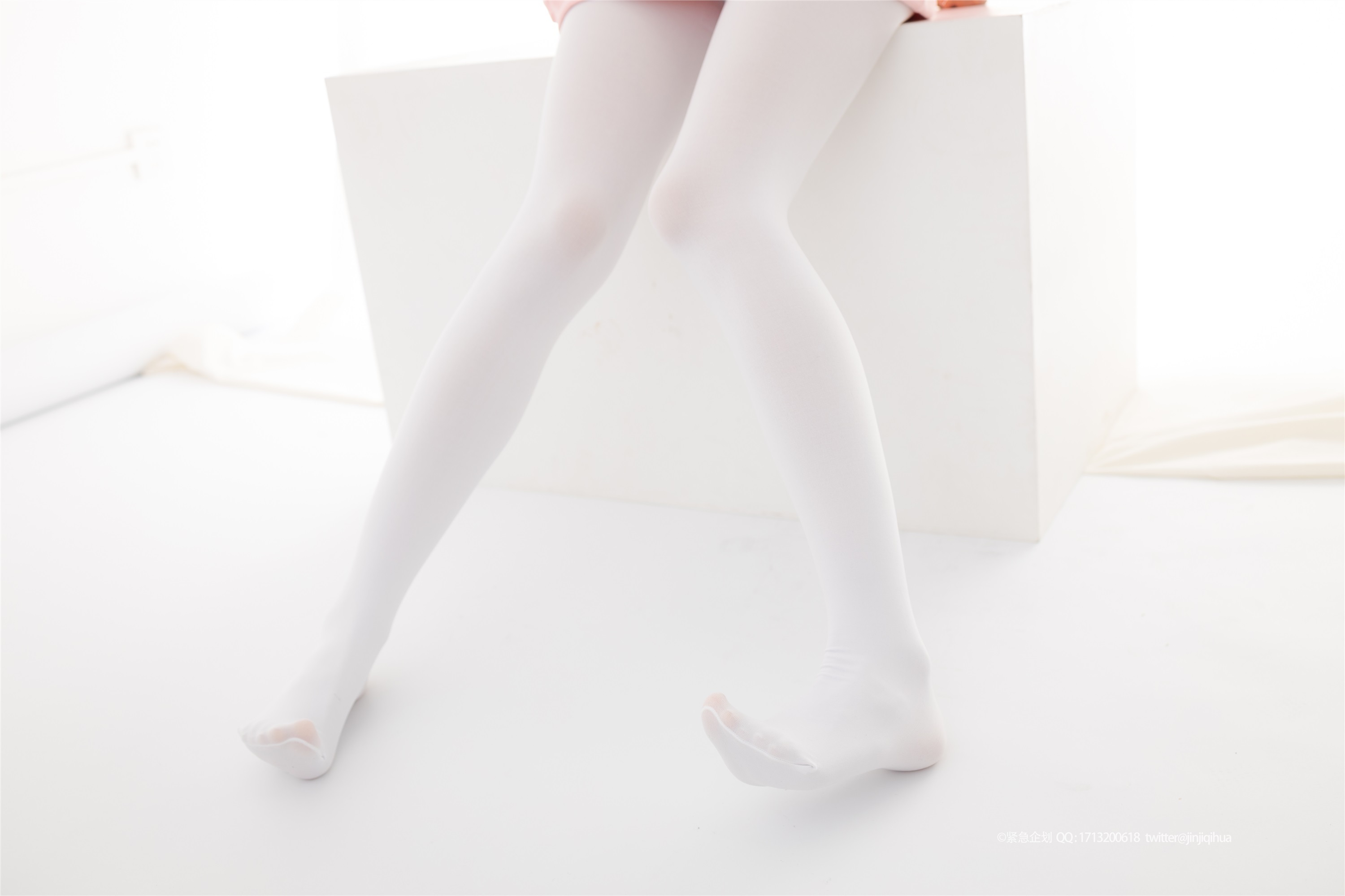 紧急企划  NO.012 一只喵喵梓